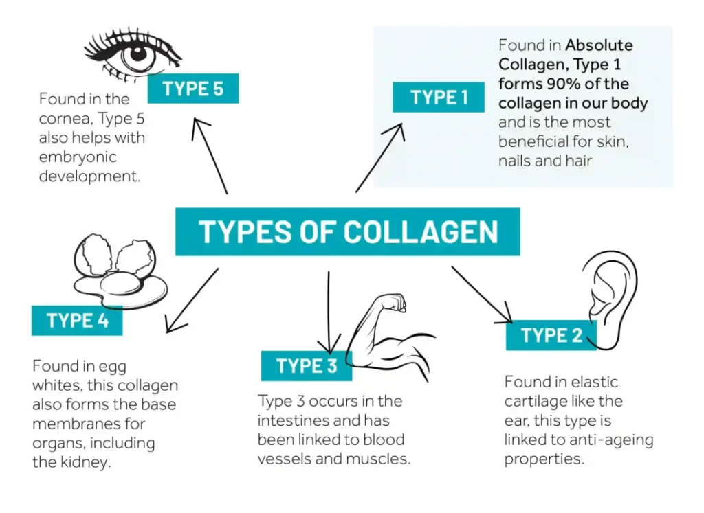 collagen benefits for hair and skin - by dr.sanaz