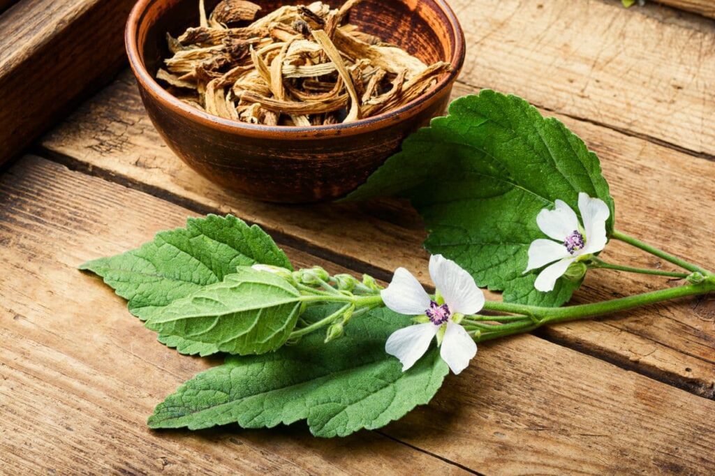 Regrowth of hair with the help of traditional medicine and special herbs - by dr.sanaz