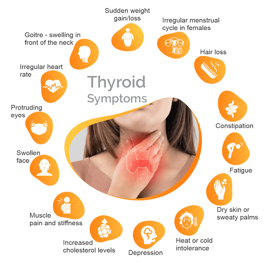 thyroid and hair fall