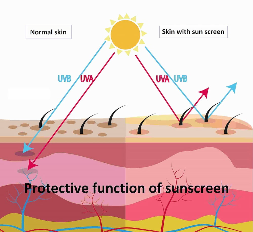 protective function of sunscreen 778899