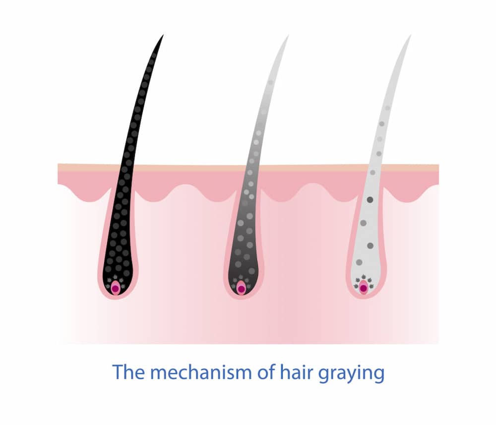 hair graying stage 2285800