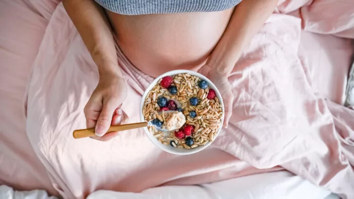 Top10 High Protein Snacks For Pregnant 10