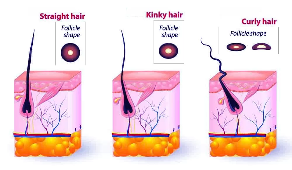 The Scientific Facts About Mesotherapy For Hair Growth