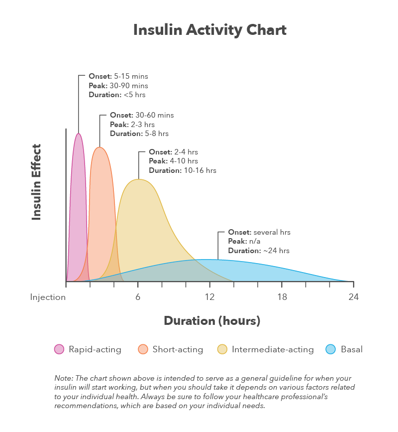 Insulin_Activity_diagram