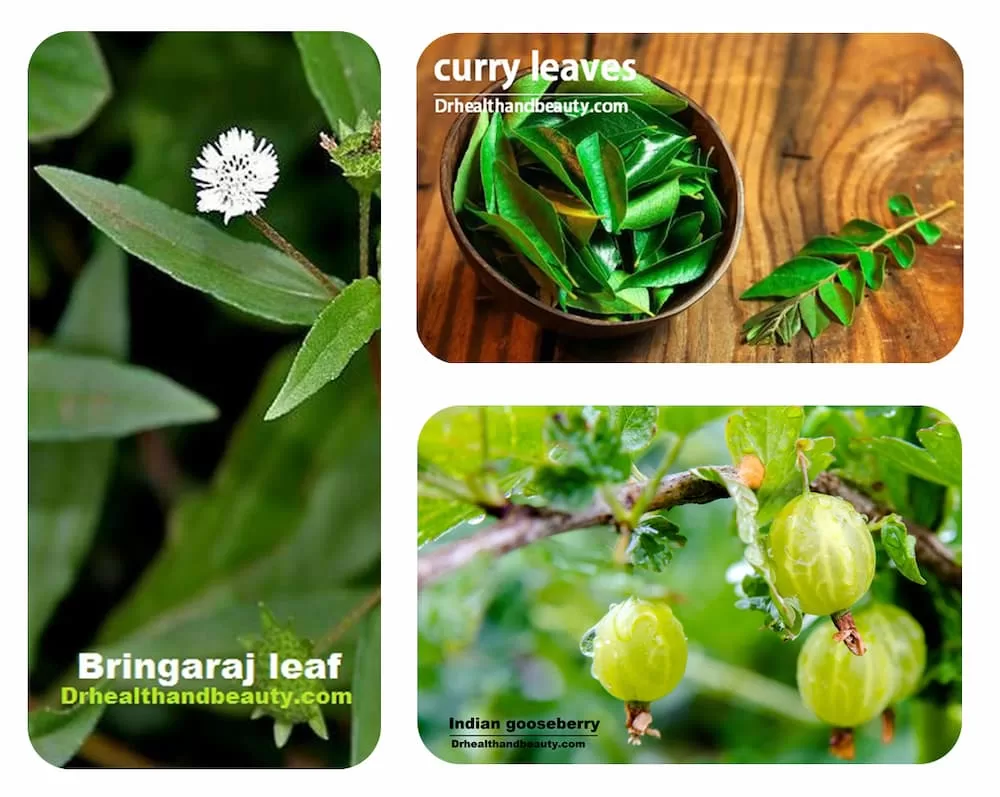 curry leaves-Indian gooseberry-Bringaraj leaf