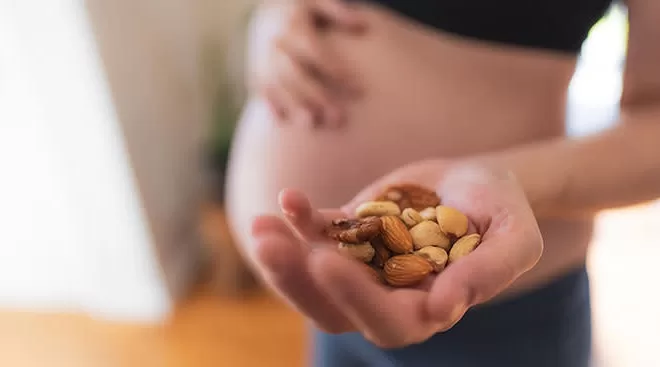 Top10 High Protein Snacks For Pregnant2