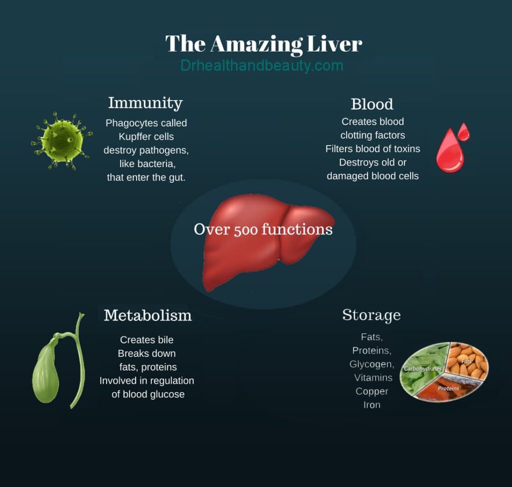 Liver function