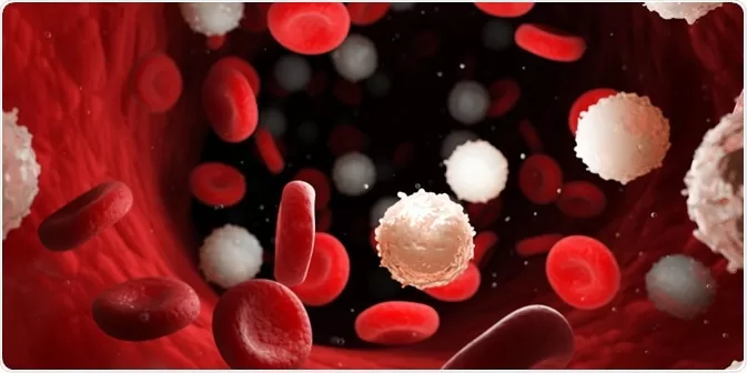 The Science of White Blood Cells: Inside the Body's Invisible Army12