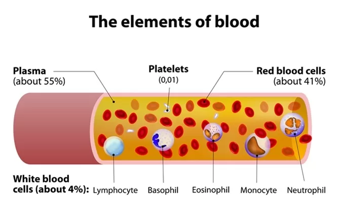 blood elements