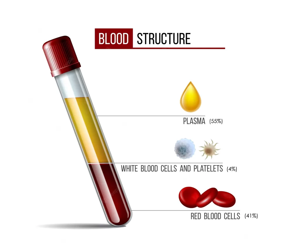 structure of blood