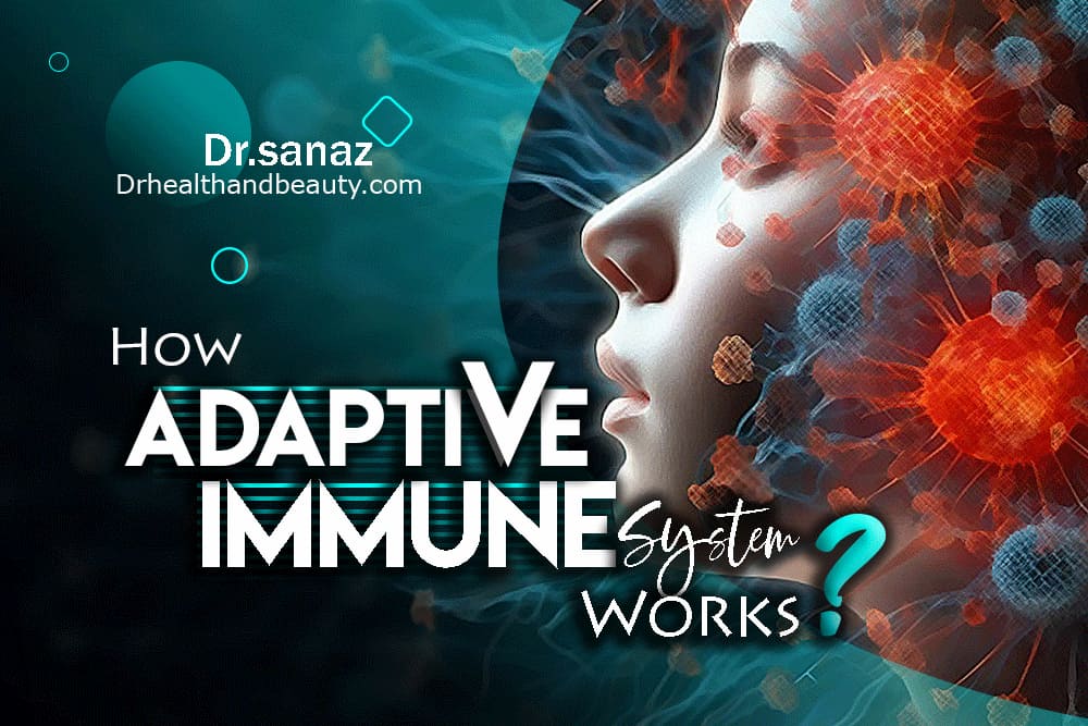How Adaptive Immune System Works?