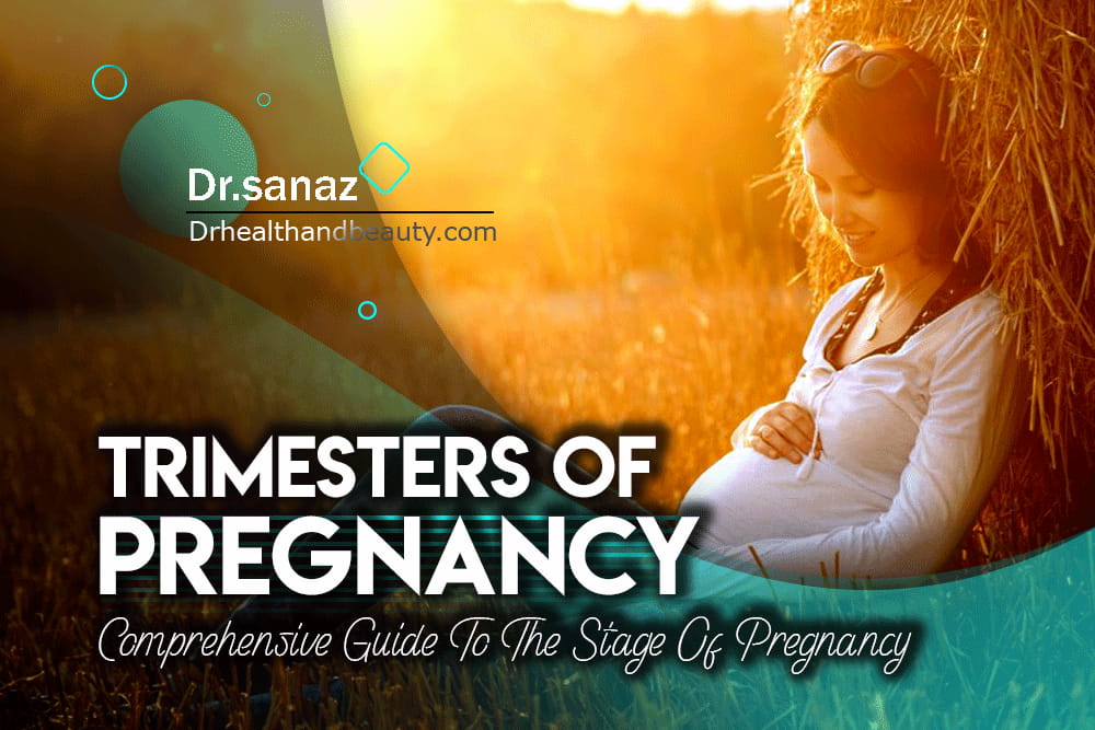 Trimesters Of Pregnancy / Comprehensive Guide To The Stage Of Pregnancy