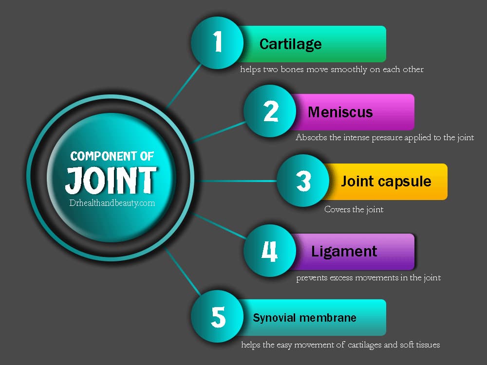 components of joint