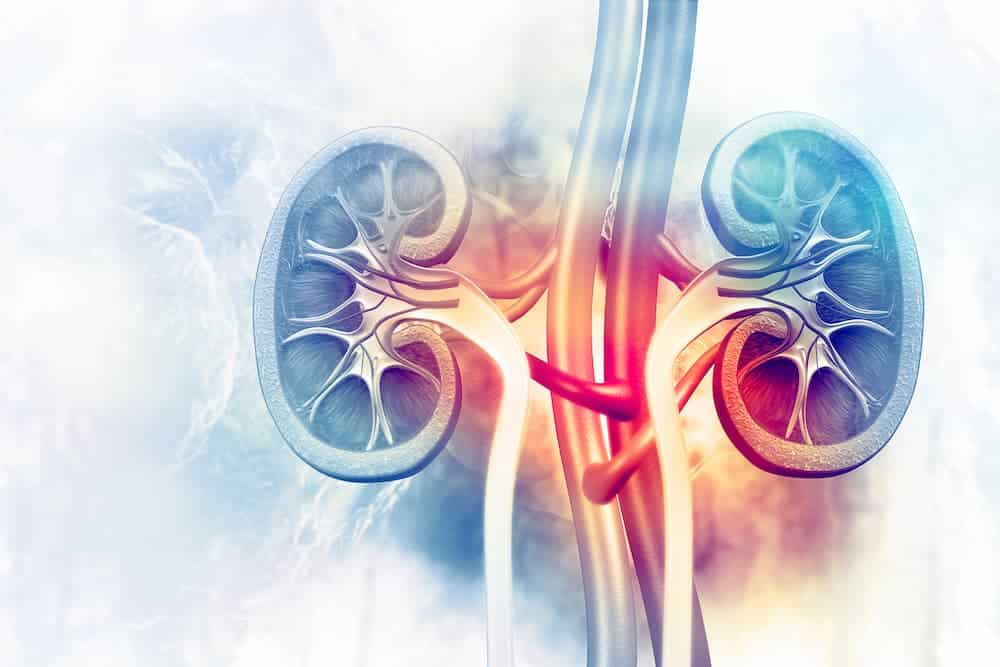 lupus and Renal inflammation