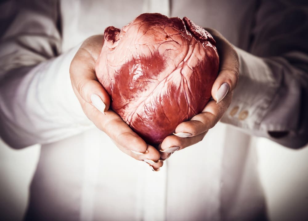 heart transplant 00121212