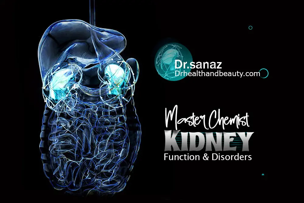 Kidney ( Master Chemist ) Function And Disorders