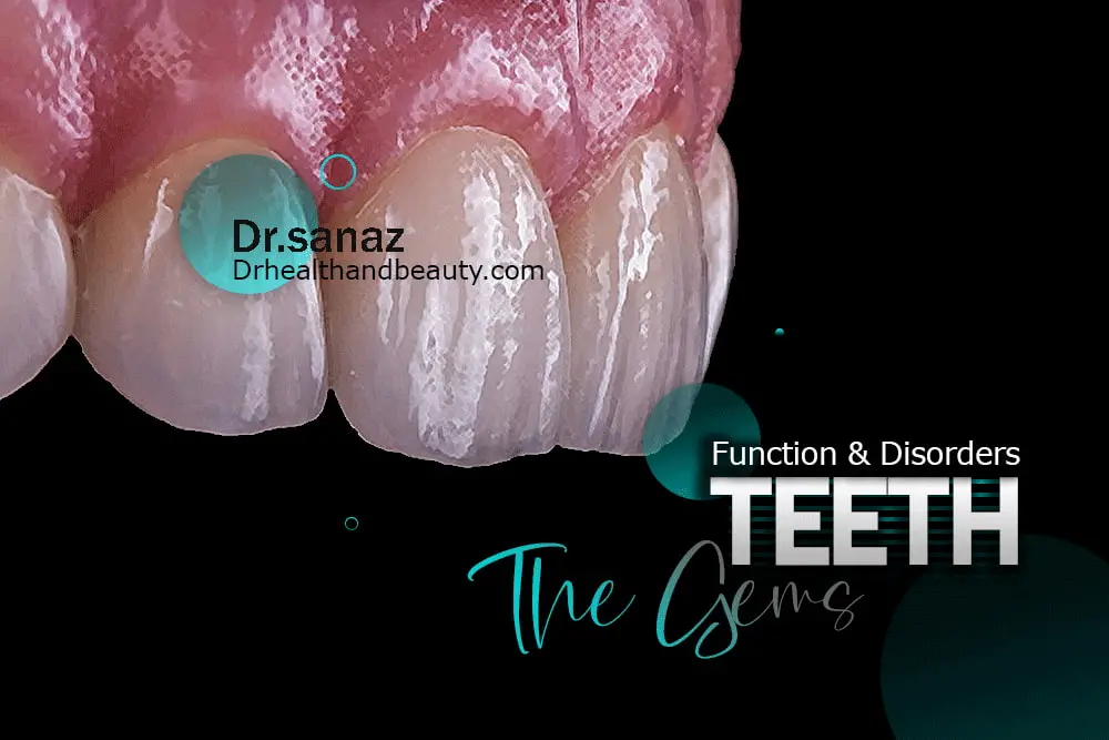 Teeth ( The Gems ) Function & Disorders